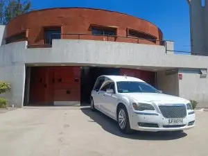 cinerario maipu